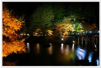 PPC自主練☆〜修善寺虹の郷ライトアップ〜その２ 2013/11/29 15:44:44