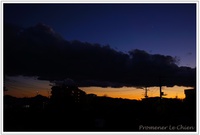 本日の夕空＆庭の秋を撮る＊カメラ自主練 2013/12/10 18:38:33
