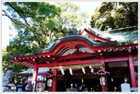 PPC(Pantas Photo Club)活動in熱海〜来宮神社編〜その１ 2014/02/01 20:54:18