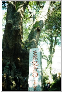 PPC(Pantas Photo Club)活動in熱海〜来宮神社編〜その２ 2014/02/02 11:17:18