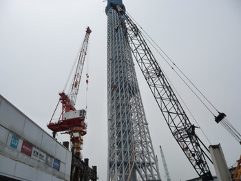 スカイツリー成長中