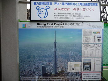 スカイツリー成長中