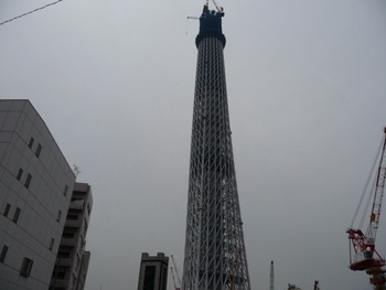 スカイツリー成長中