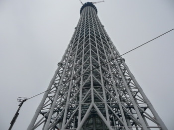 スカイツリー成長中