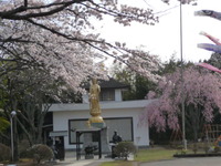 御殿場にて