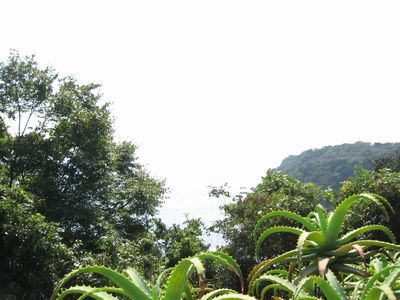 伊豆東海岸