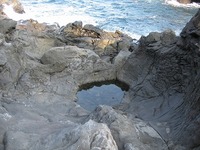 伊豆城ヶ崎海岸（ポットホール）
