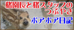 猪園長と猪スタッフのつぶやき　ボアボア日記