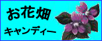 お花畑