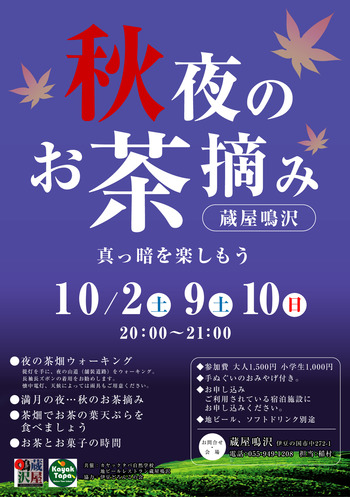 秋夜のお茶摘み　真っ暗を楽しもう