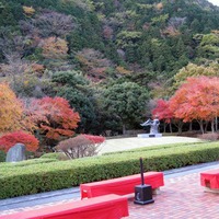 道の駅天城越えの紅葉