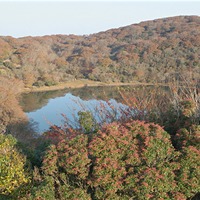 八丁池周辺の紅葉