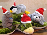 11/19～12/25：三津シーパラダイスのクリスマス限定