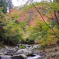 滑沢渓谷の紅葉