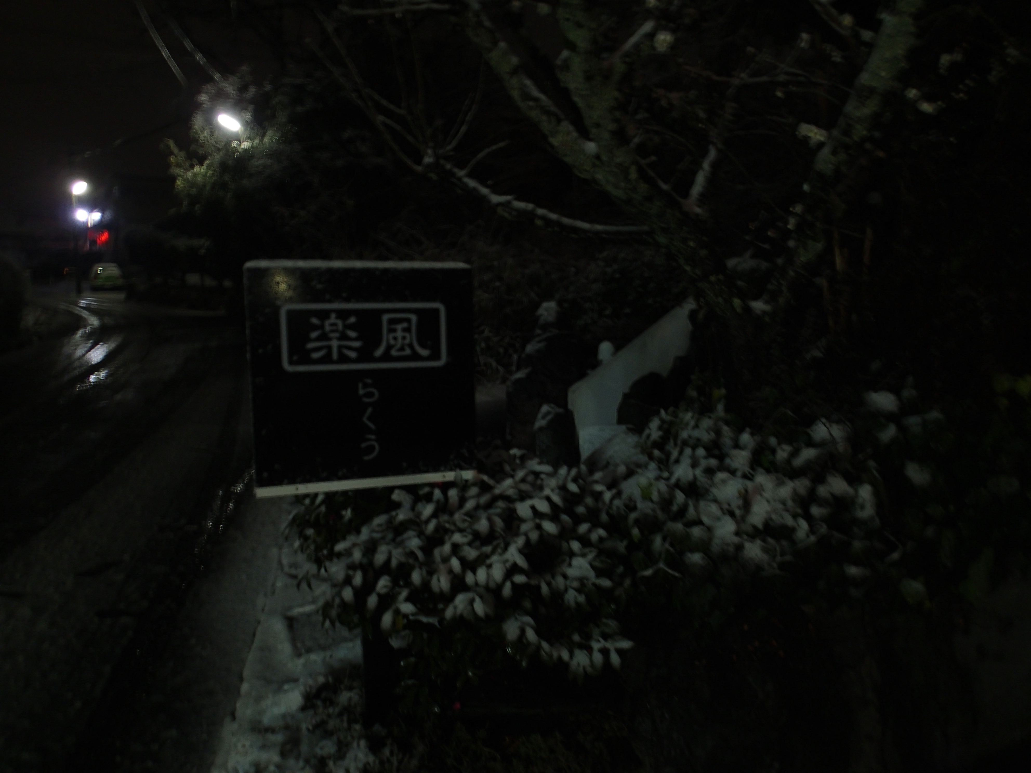 雪降ってました。