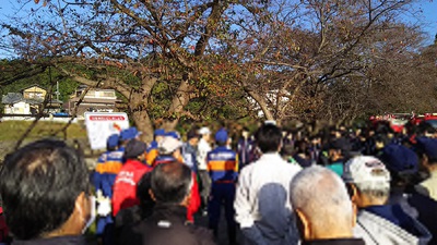 龍巌淵の桜[令和2年(2020年)4月13日　令和2年春の最終報告]