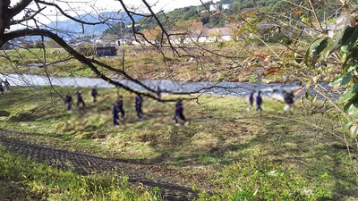 龍巌淵の桜[令和2年(2020年)4月13日　令和2年春の最終報告]