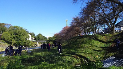 龍巌淵の桜［平成30年(2018年)4月7日　平成30年春の最終報告］