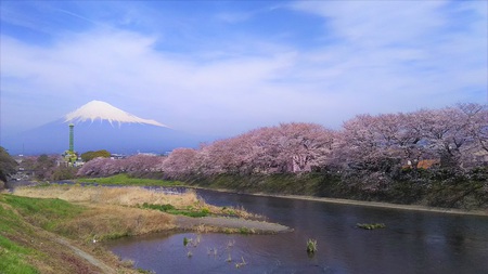 龍巌淵の桜　［平成30年(2018年)3月26日］