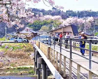 龍巌淵の桜［平成30年(2018年)3月29日］