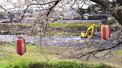 龍巌淵の桜［平成30年(2018年)4月2日］