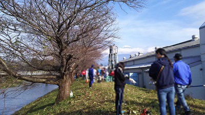 龍巌淵の桜[2019年(平成31年)4月12日　平成31年春の最終報告]