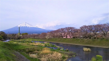 龍巌淵の桜［平成31年(2019年)3月28日］