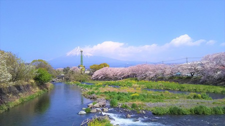 龍巌淵の桜[2019年(平成31年)4月6日]