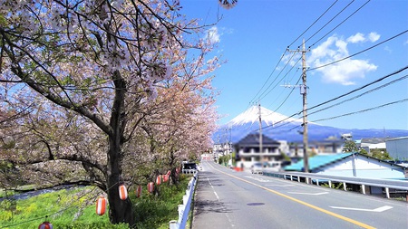 龍巌淵の桜[2019年(平成31年)4月9日]