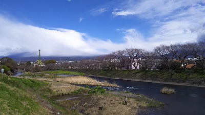 龍巌淵の桜［令和2年(2020年)3月16日］
