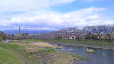 龍巌淵の桜［令和2年(2020年)3月17日］