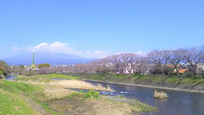 龍巌淵の桜［令和2年(2020年)3月18日］