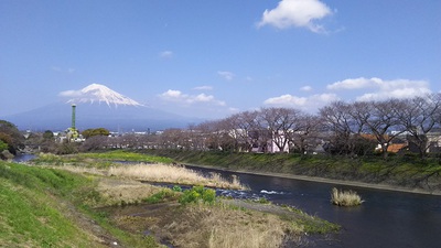 龍巌淵の桜［令和2年(2020年)3月19日］