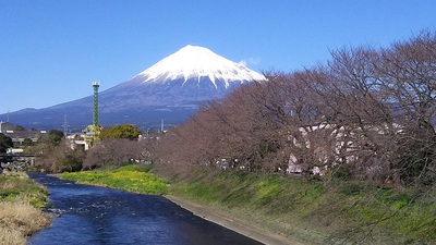 龍巌淵の桜［令和2年(2020年)3月20日］