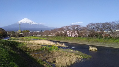 龍巌淵の桜［令和2年(2020年)3月21日］
