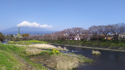 龍巌淵の桜［令和2年(2020年)3月26日］