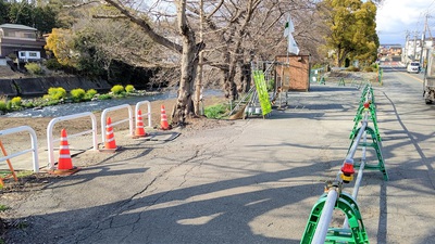 龍巌淵の桜[令和3年(2021年)3月20日]