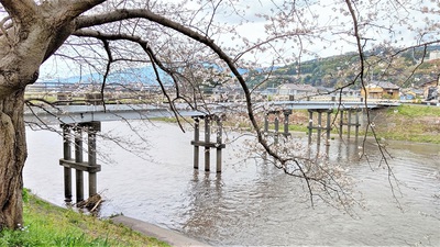 龍巌淵の桜[令和3年(2021年)3月25日]