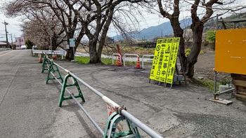 龍巌淵の桜[令和3年(2021年)3月25日]