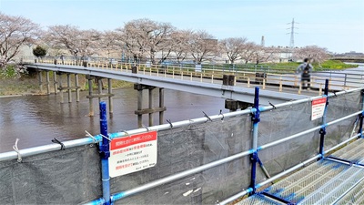 龍巌淵の桜[令和3年(2021年)3月27日]