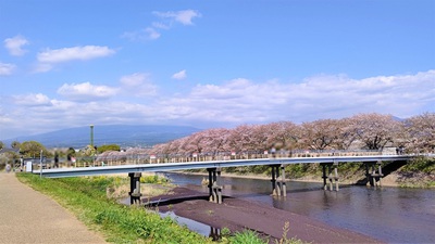 龍巌淵の桜[令和3年(2021年)4月3日]