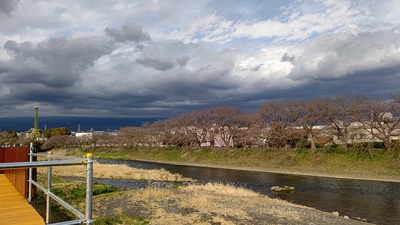 龍巌淵の桜[令和4年(2022年)3月20日]