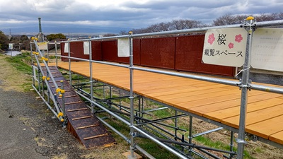 龍巌淵の桜[令和4年(2022年)3月21日]