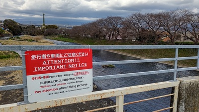 龍巌淵の桜[令和4年(2022年)3月21日]