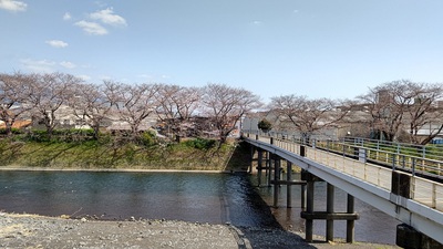 龍巌淵の桜[令和4年(2022年)3月25日]