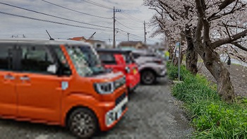 龍巌淵の桜[令和4年(2022年)3月27日]