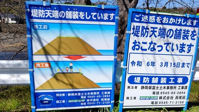 龍巌淵の桜[令和6年(2024年)　令和6年春の報告開始]