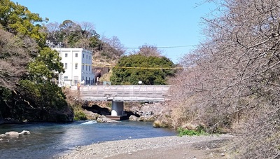 龍巌淵の桜[令和6年(2024年)3月22日]