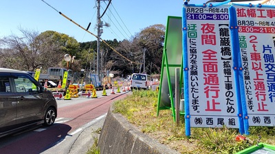 龍巌淵の桜[令和6年(2024年)3月22日]