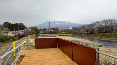 龍巌淵の桜[令和6年(2024年)3月24日]